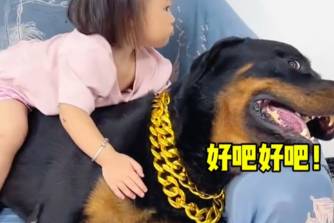 动物界德华是什么意思