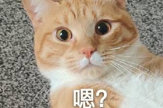 好小众的文字是什么意思