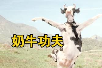 奶牛蹦迪是什么意思