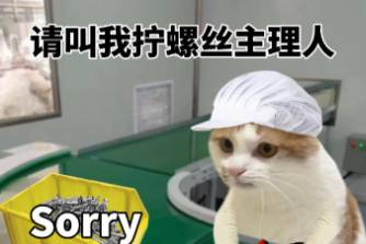 主理人元年是什么意思