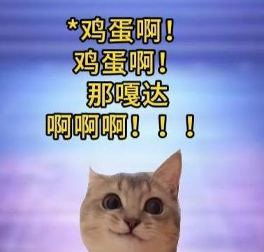 鸡蛋啊鸡蛋啊拿拿拿