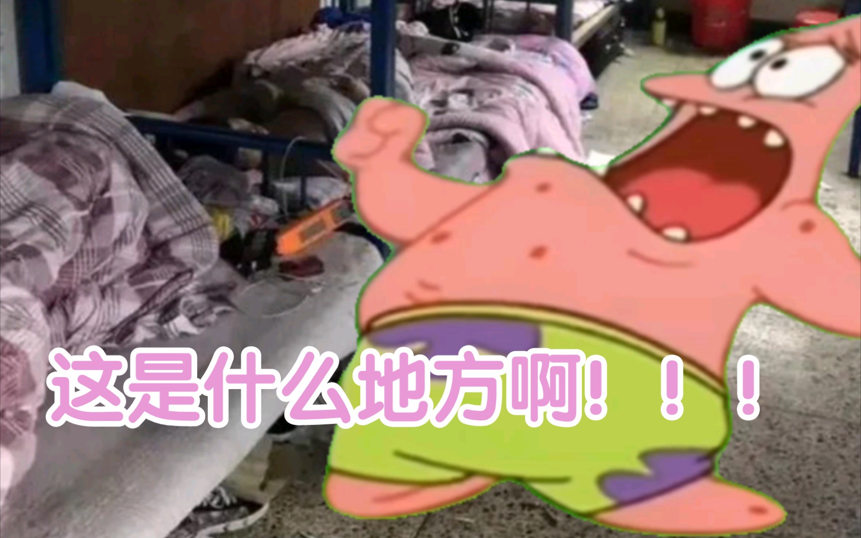 这是什么地方啊