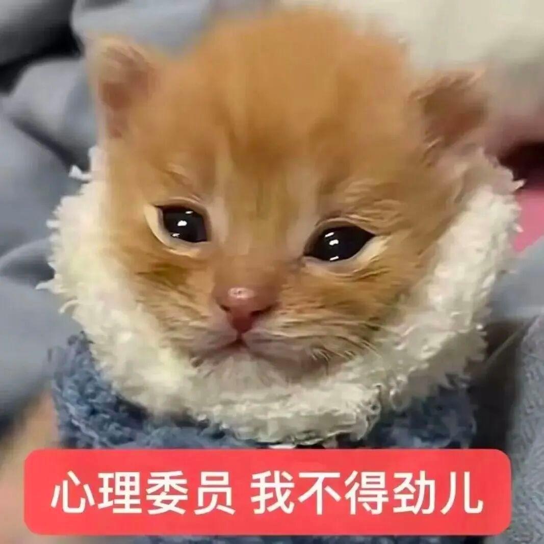 心理委員呢我不得勁兒