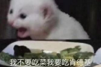我不要吃青菜我要吃蝦是什么意思