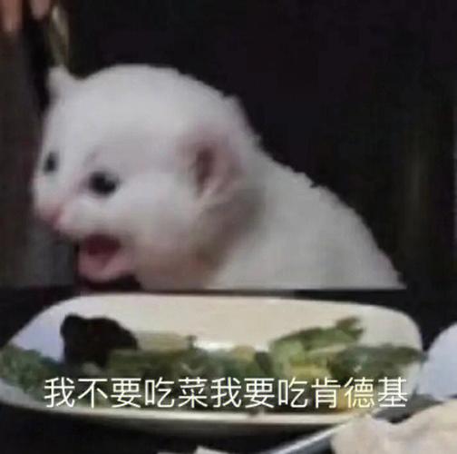 我不要吃青菜我要吃蝦