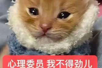 心理委員呢我不得勁兒是什么意思