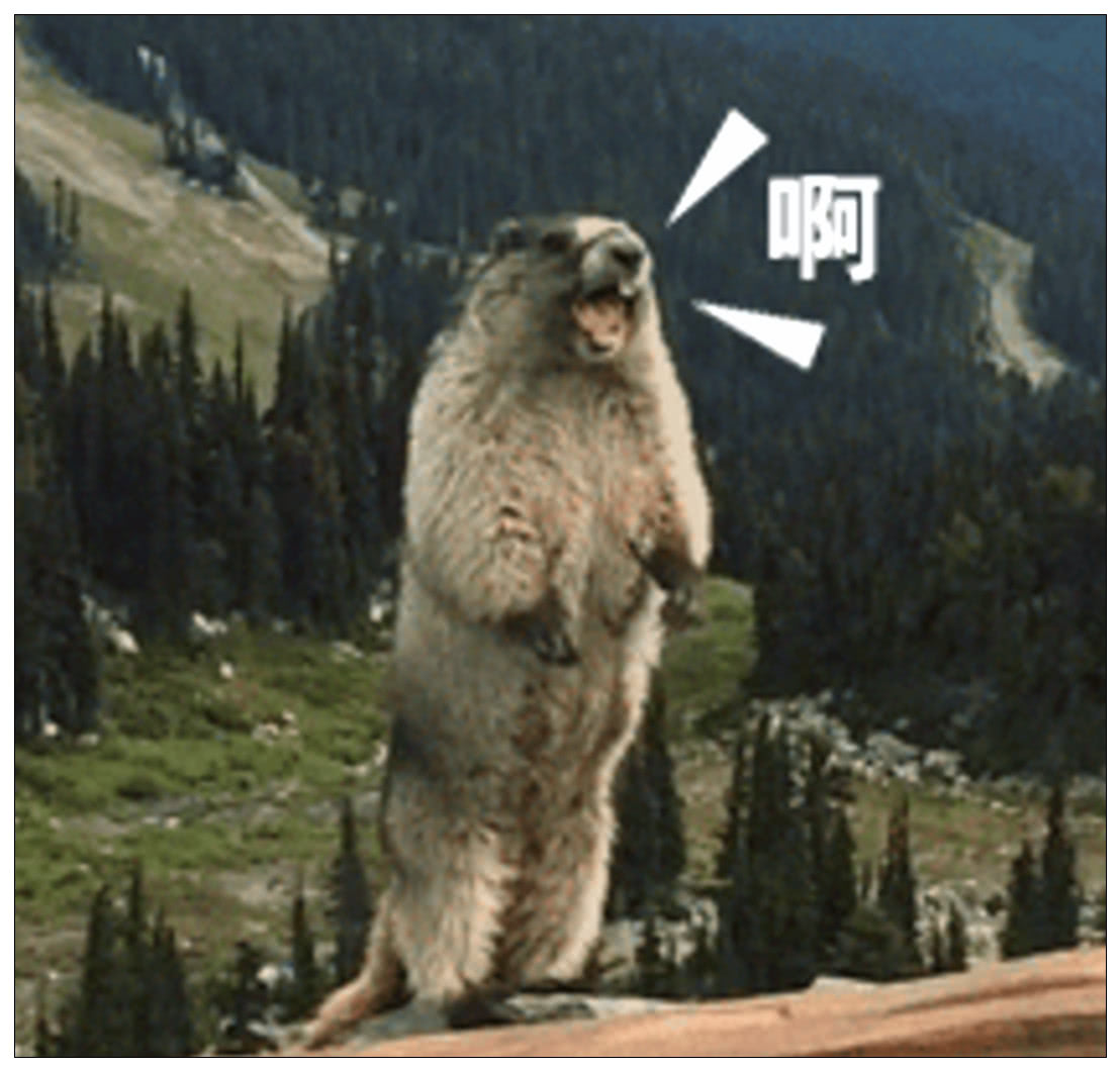 愚蠢的土拨鼠