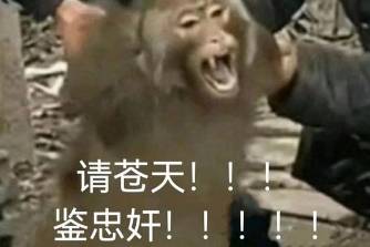 请苍天，鉴忠奸是什么意思