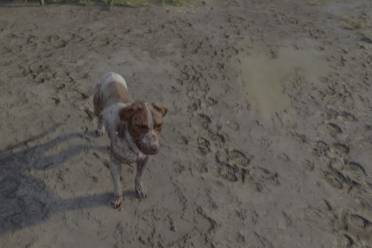 自我欺骗开锁是什么意思