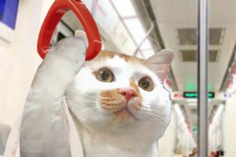 人体压缩包是什么意思