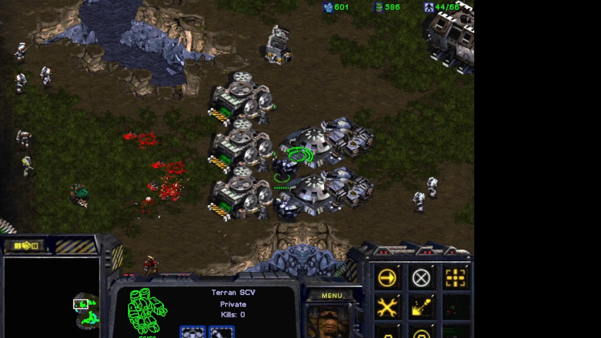 50块钱好兄弟‌