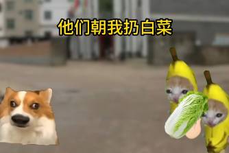 他们朝我扔白菜