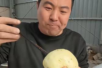 企鹅人送饭是什么意思