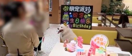 海底捞宠物庆生服务引发热议 品牌陷两难局面