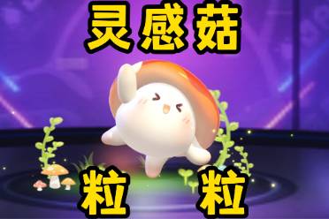 灵感菇是什么意思