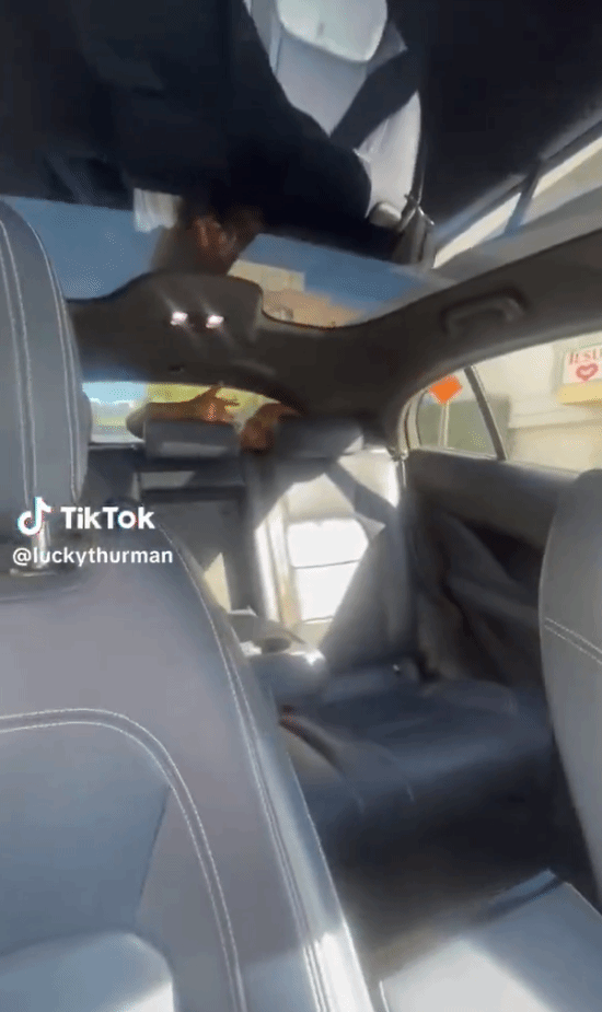 无人驾驶出租车后备箱惊现藏匿男子引发安全质疑