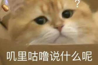 叽里咕噜说啥呢是什么意思