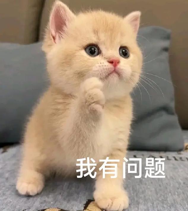 这时候就有人要问了