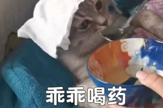 你该喝中药了是什么意思