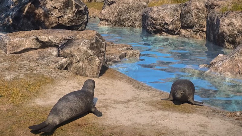 ‌《颂钟长鸣》冬季更新：生态扩展与史低特惠同步开启