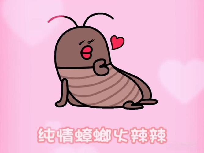 纯情蟑螂 * 辣