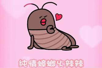 纯情蟑螂 * 辣是什么意思