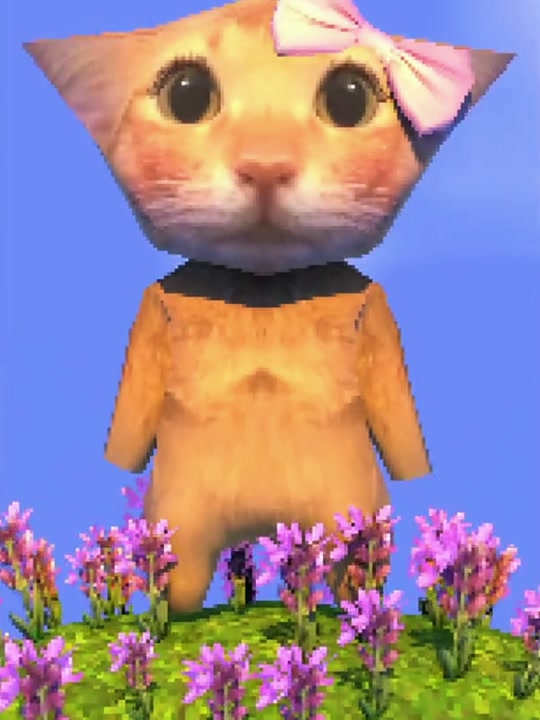 阿米噶蒂朵，喵喵