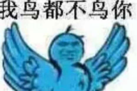 我鸟都不鸟你是什么意思