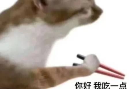 你好，我吃一点是什么意思