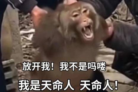 天命人是什么意思