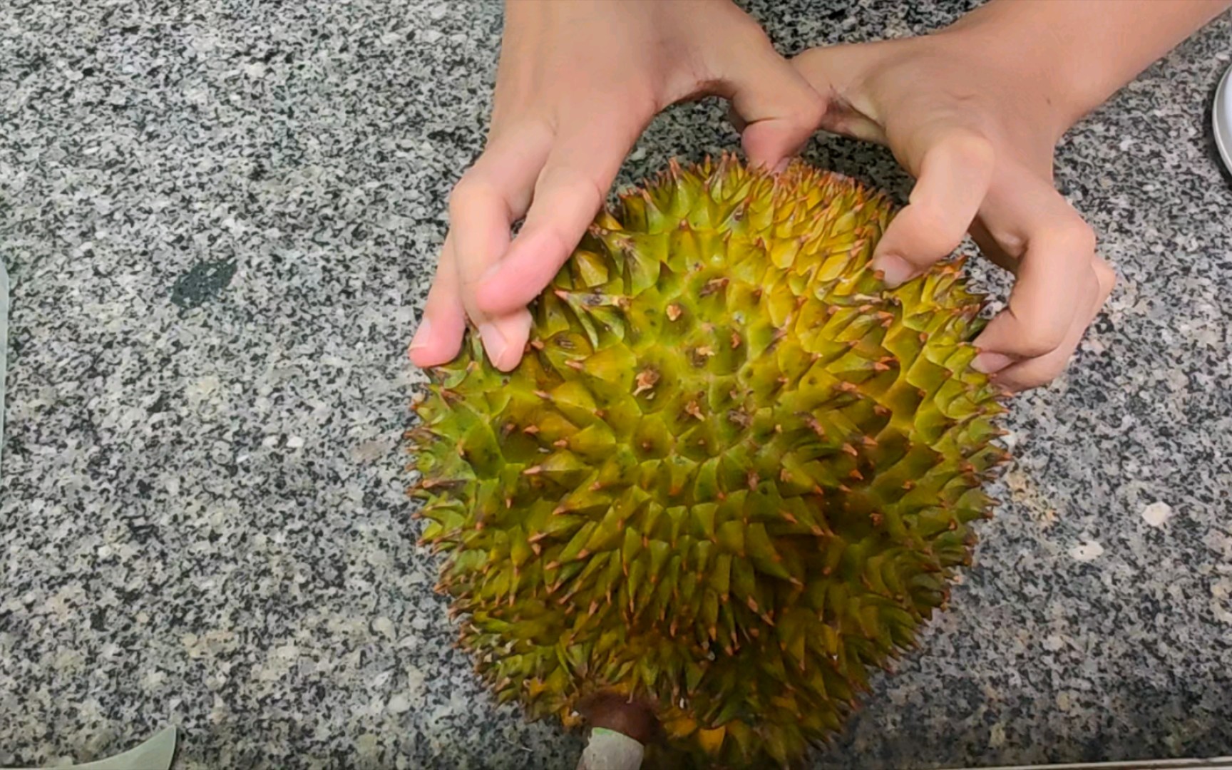 人类早期驯服野生XX的珍贵录像