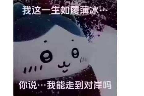 你说我这一生如履薄冰、能走到对岸吗是什么意思