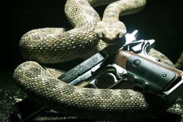 自由职业的破产之旅