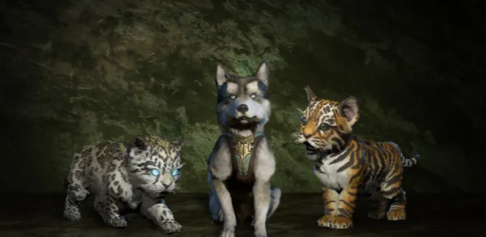 《暗黑破坏神 4》免费宠物获取指南