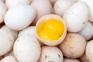 新时代鸡蛋是什么意思