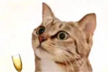 爱价老已是什么意思