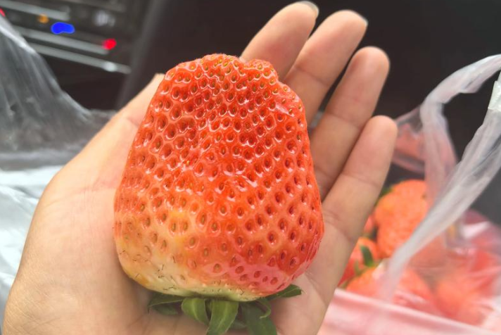 我喜欢草莓，但最近有点倒霉