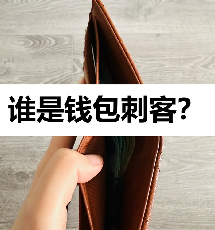 冬季钱包刺客