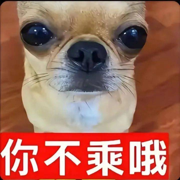 乘不乘