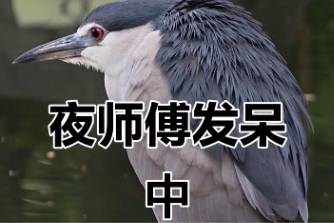 夜师傅是什么意思