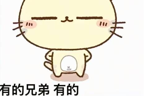 有的有的兄弟是什么意思