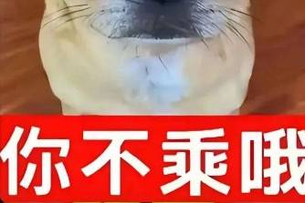 乘不乘是什么意思