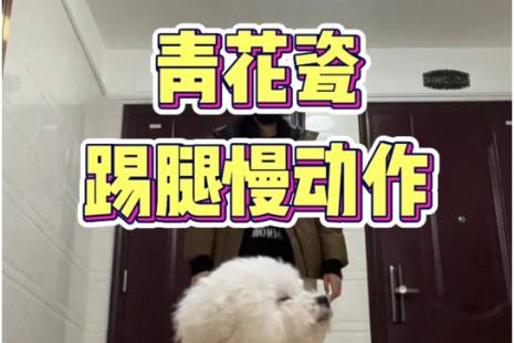 青花瓷踢腿是什么意思