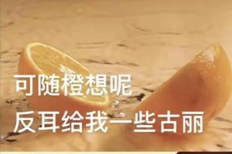 可随橙想呢 反耳给了我一些古丽