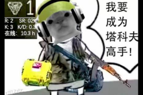 搜打撤是什么意思