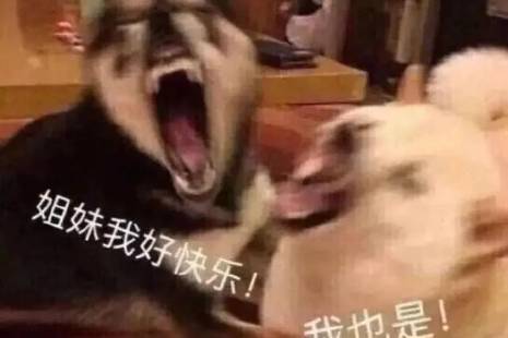 严闺出美蜜是什么意思