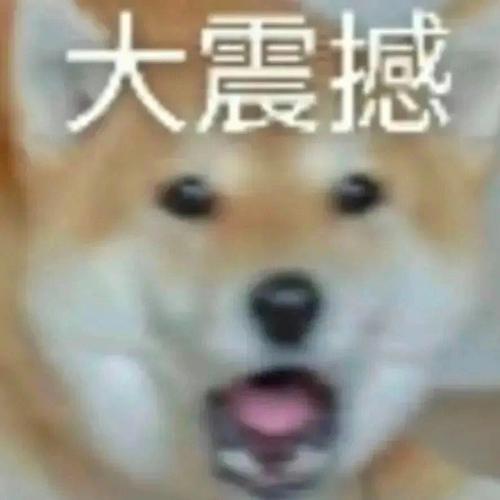 参考文献震撼首发