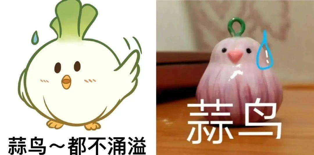 蒜鸟,蒜鸟,都不涌易!