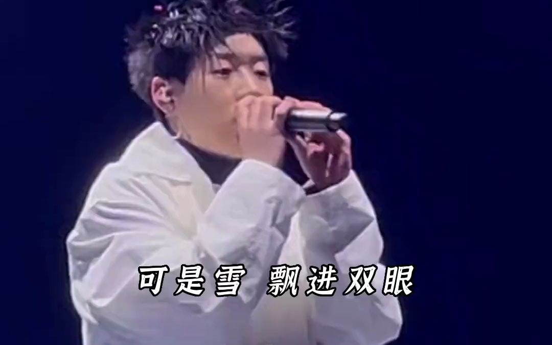 可是雪啊飘进双眼