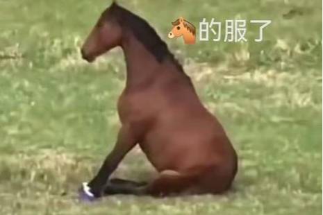 卡急马是什么意思